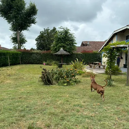 Villa L'huchette Leon